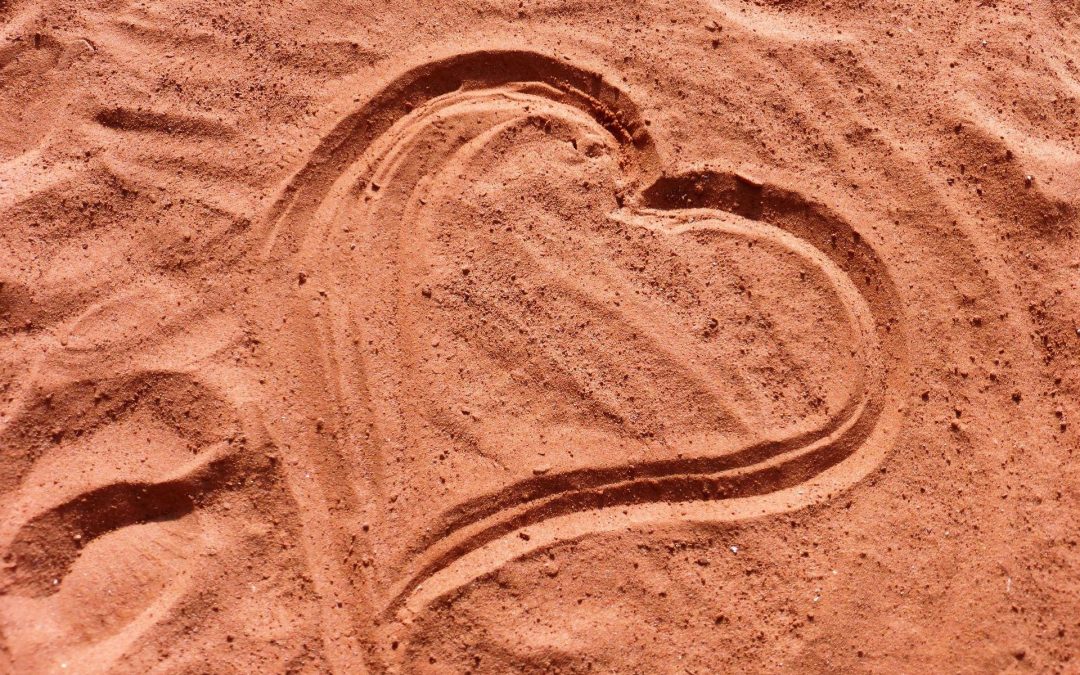 Der hat viel Liebe!
