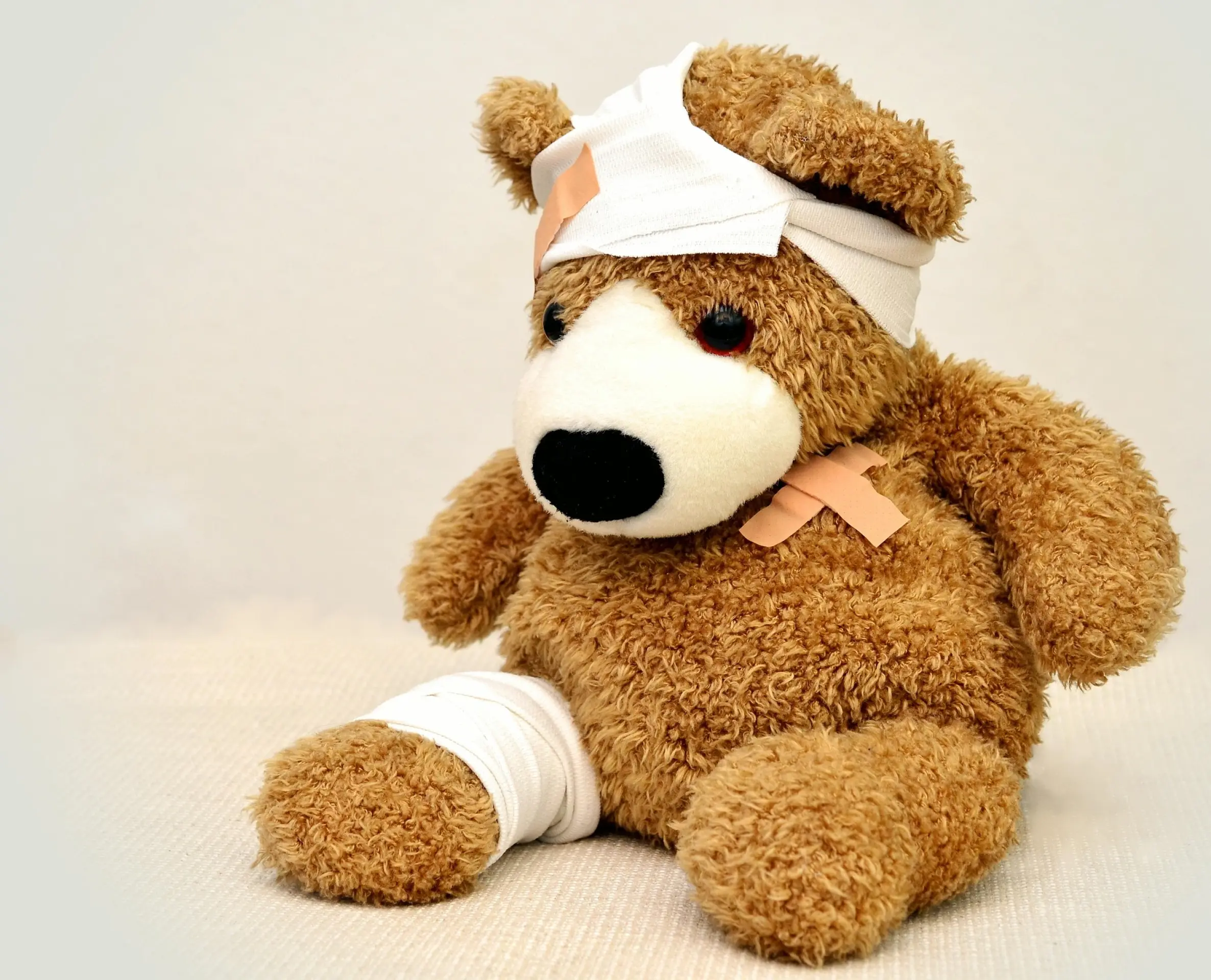 congerdesign-teddy-562960_1920
